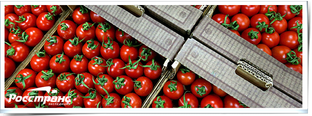 Возвращение турецких продуктов на полки российских супермаркетов